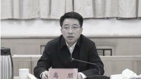 北京深夜打虎「70後」副市長被查上熱搜第一(組圖)