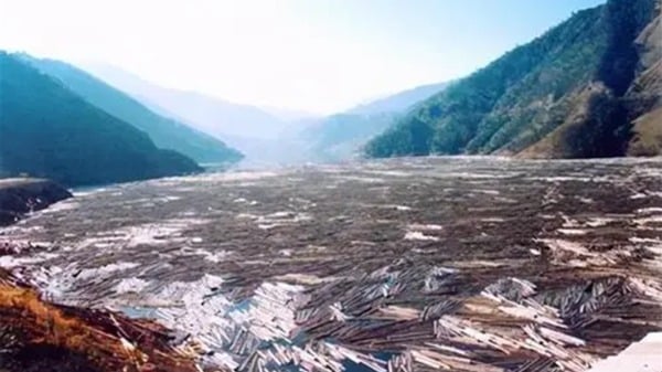 西部森林砍伐水運