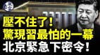 清明节惊现习最怕的一幕急下密令专家赞台湾3事(视频)