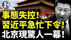 王毅政治触觉敏锐盛赞彭丽媛魅力外交(视频)