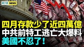 前秘密警察踢爆中共打擊海外異議者内幕(視頻)