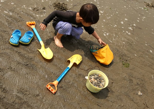 2014年5月3日，一名日本男孩在Shinmaiko海灘挖蛤蜊。