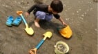 孩子們在加州沙灘撿「貝殼」母親驚收$8.8萬罰單(圖)