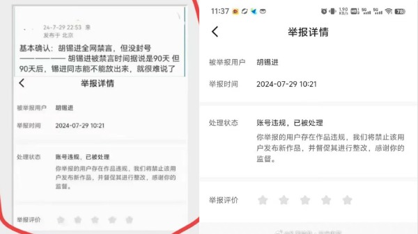 胡锡进被禁言的方式很特别